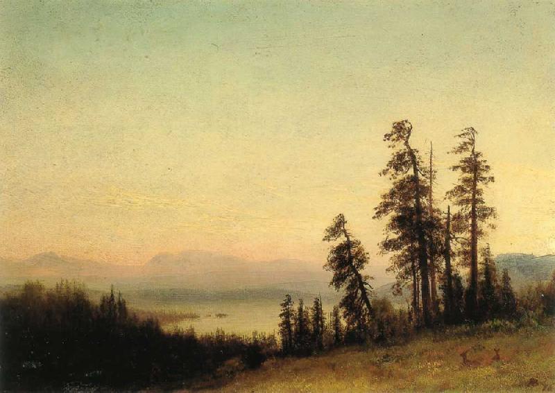 Albert Bierstadt Landscape with Deer oil painting picture